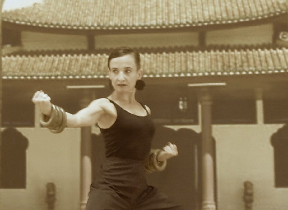 KungFu-Power Kurs, ab Di. 22.9